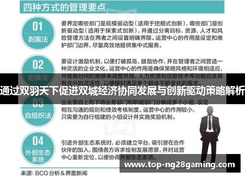 通过双羽天下促进双城经济协同发展与创新驱动策略解析 通过双羽天下促进双城经济协同发展与创新驱动策略解析