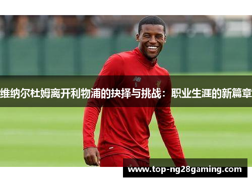 维纳尔杜姆离开利物浦的抉择与挑战:职业生涯的新篇章 维纳尔杜姆离开利物浦的抉择与挑战:职业生涯的新篇章