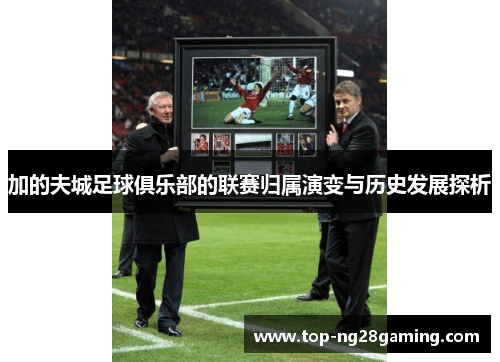 加的夫城足球俱乐部的联赛归属演变与历史发展探析 加的夫城足球俱乐部的联赛归属演变与历史发展探析