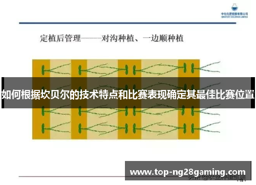 如何根据坎贝尔的技术特点和比赛表现确定其最佳比赛位置 如何根据坎贝尔的技术特点和比赛表现确定其最佳比赛位置
