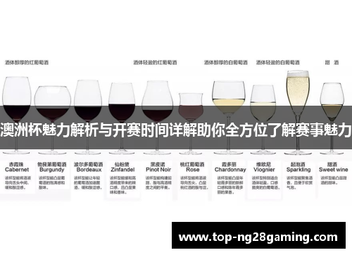 澳洲杯魅力解析与开赛时间详解助你全方位了解赛事魅力 澳洲杯魅力解析与开赛时间详解助你全方位了解赛事魅力