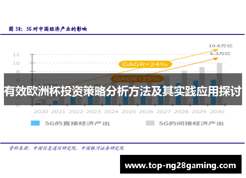 有效欧洲杯投资策略分析方法及其实践应用探讨