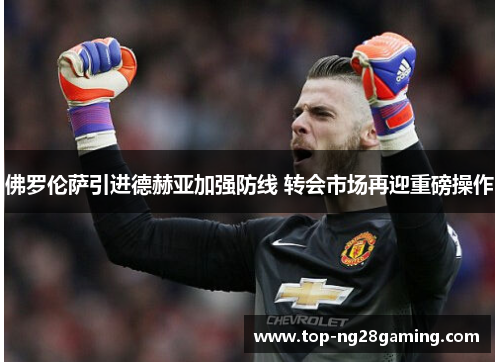 佛罗伦萨引进德赫亚加强防线 转会市场再迎重磅操作