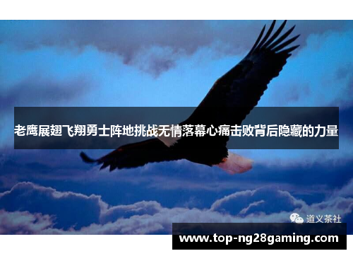 老鹰展翅飞翔勇士阵地挑战无情落幕心痛击败背后隐藏的力量 老鹰展翅飞翔勇士阵地挑战无情落幕心痛击败背后隐藏的力量